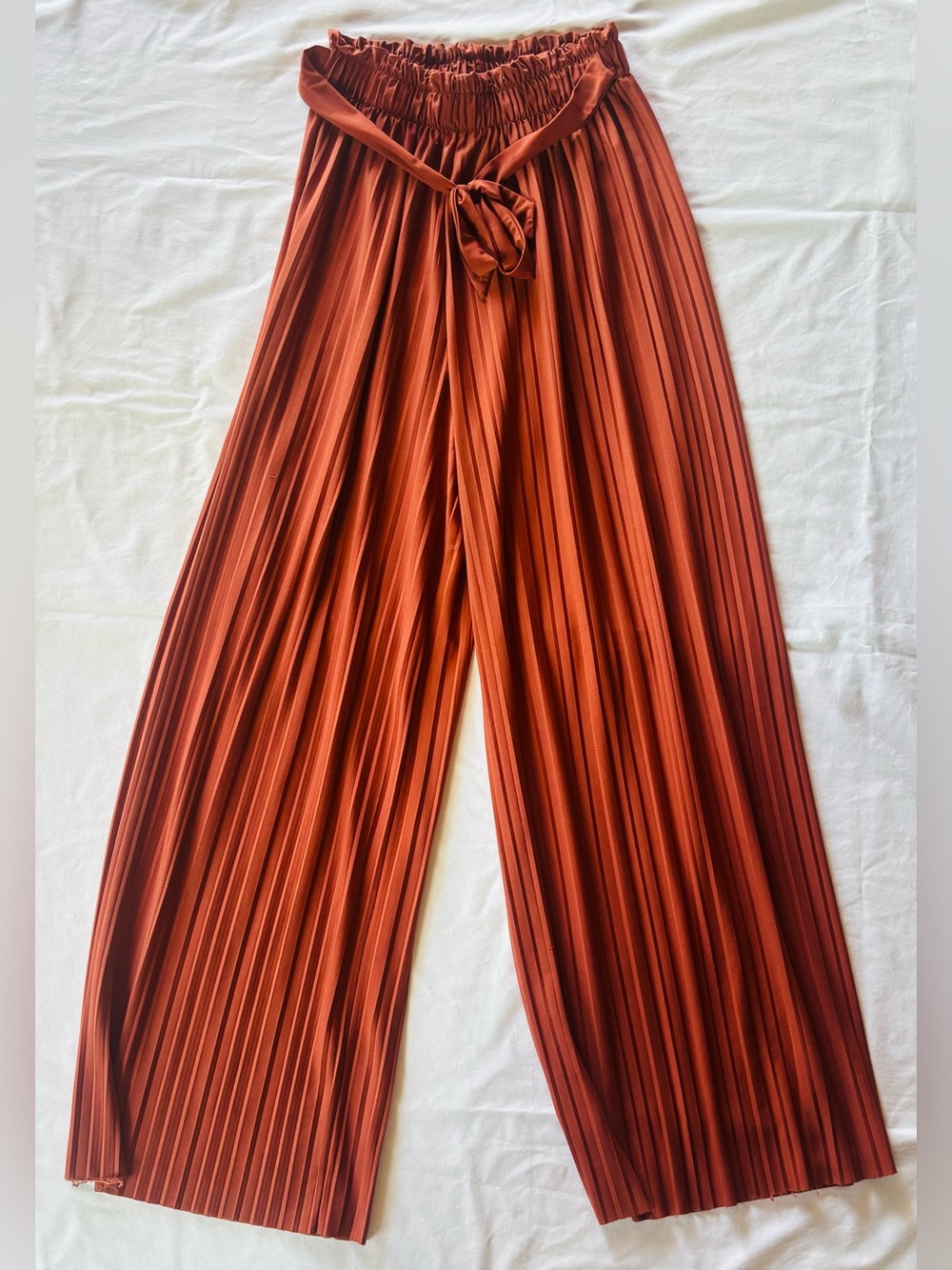 Wide-Leg Pleated Pants in Rust